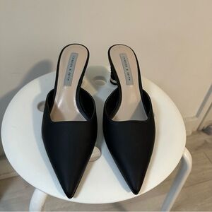 Charles & Keith Sleek Black Pointed Mules